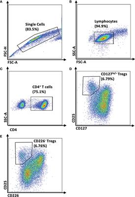 Human CD4+CD25+CD226- Tregs Demonstrate Increased Purity, Lineage Stability, and Suppressive Capacity Versus CD4+CD25+CD127lo/- Tregs for Adoptive Cell Therapy